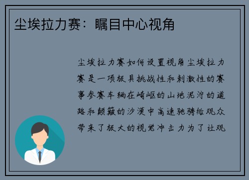 尘埃拉力赛：瞩目中心视角
